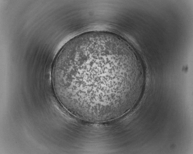 X0000114561226200911091211