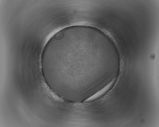 X0000114561230200911091211