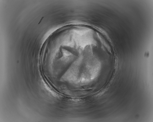 X0000114561231200911091211