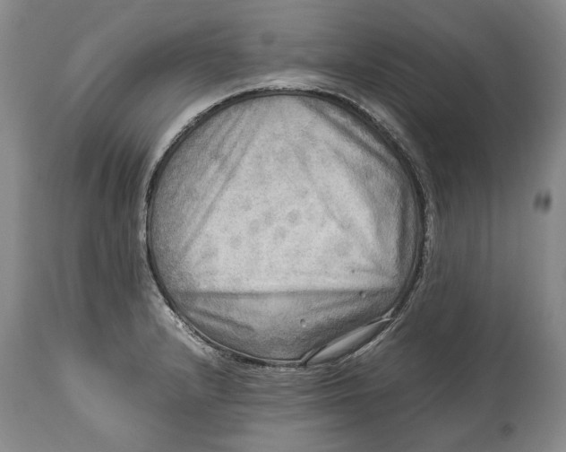 X0000114561232200911091211