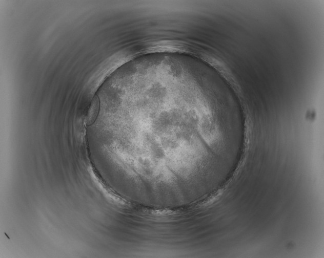 X0000114561233200911091211
