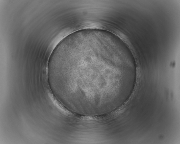 X0000114561234200911091211