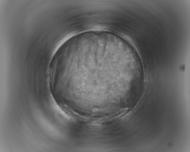 X0000114561235200911091211