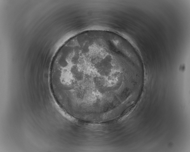 X0000114561237200911091211
