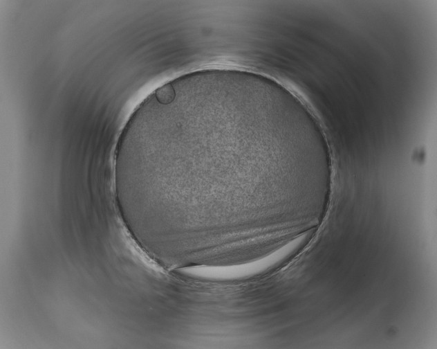 X0000114561238200911091211