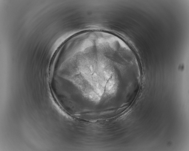 X0000114561239200911091211