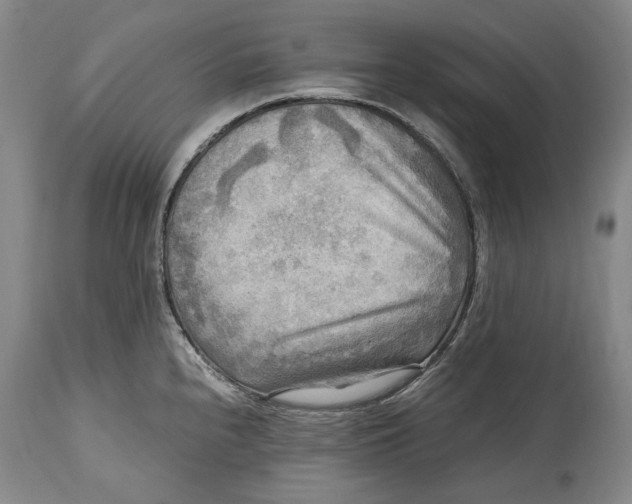 X0000114561240200911091211