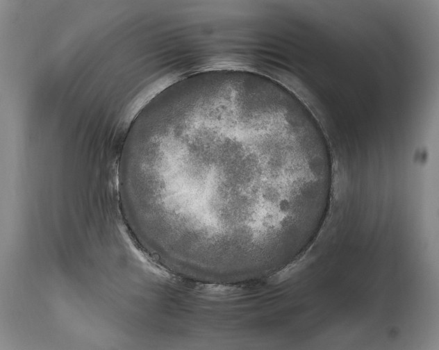 X0000114561241200911091211