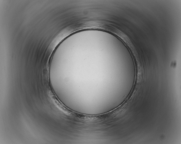 X0000114561242200911091211