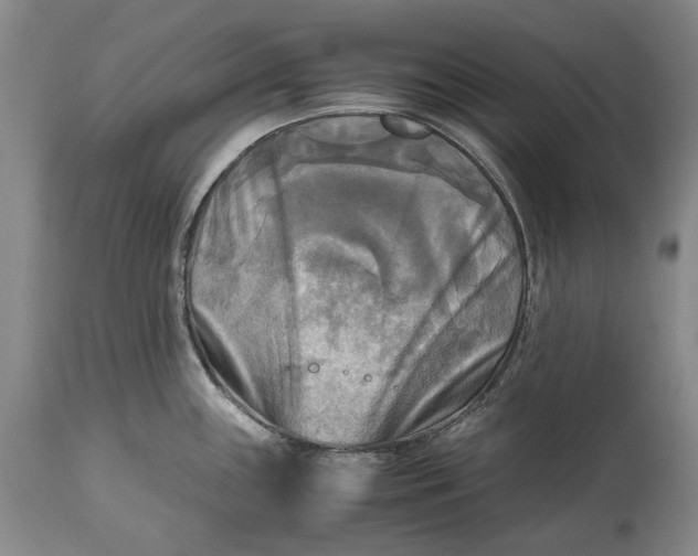 X0000114561243200911091211