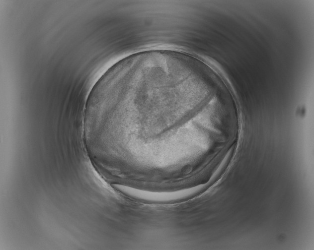 X0000114561244200911091211