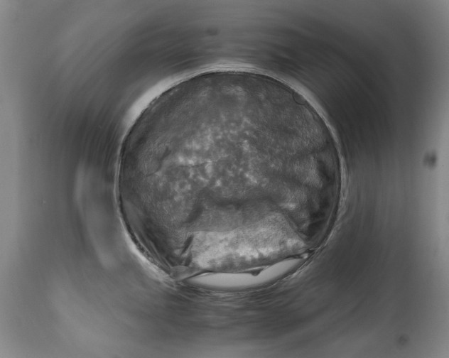 X0000114561245200911091211