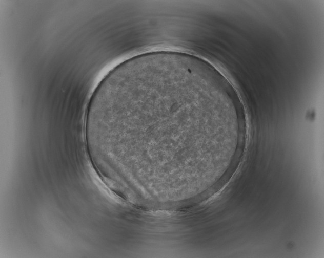 X0000114561246200911091211