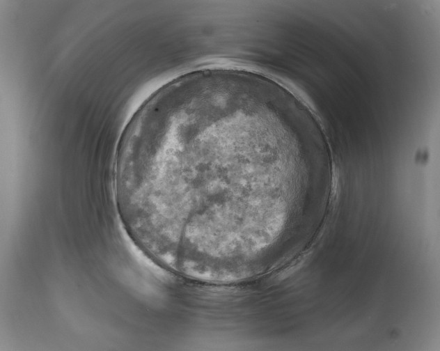 X0000114561247200911091211