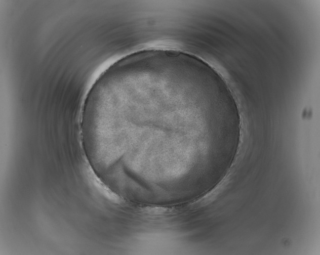 X0000114561248200911091211