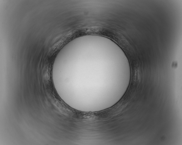 X0000114561250200911091210