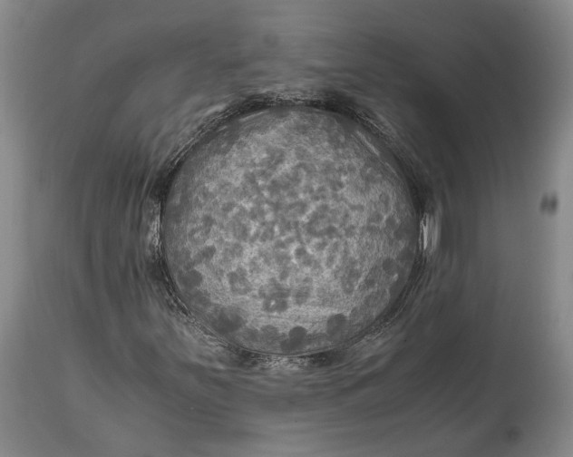 X0000114561251200911091210
