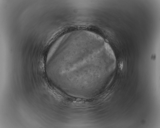 X0000114561252200911091210