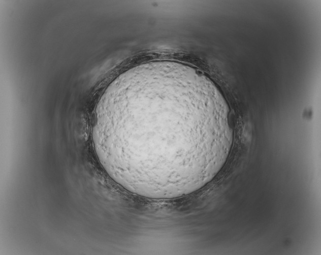 X0000114561253200911091210