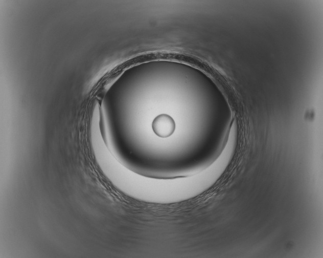 X0000114561255200911091210