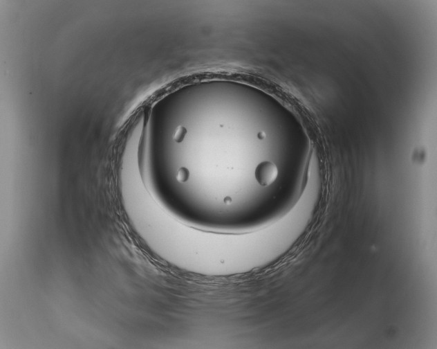 X0000114561256200911091210