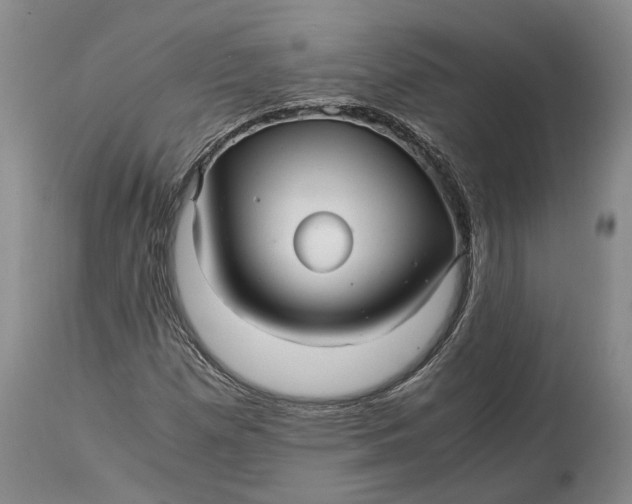 X0000114561257200911091210