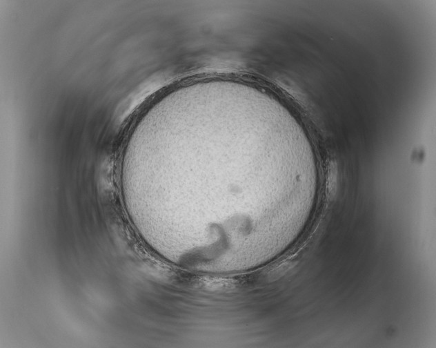 X0000114561258200911091210