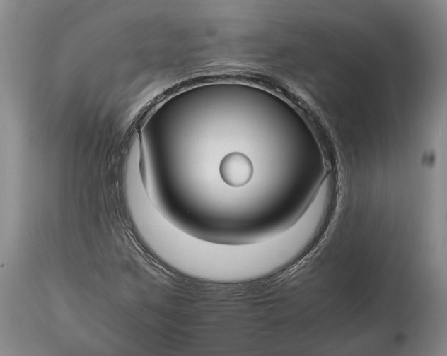 X0000114561259200911091210