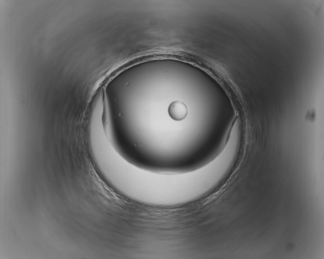 X0000114561260200911091210