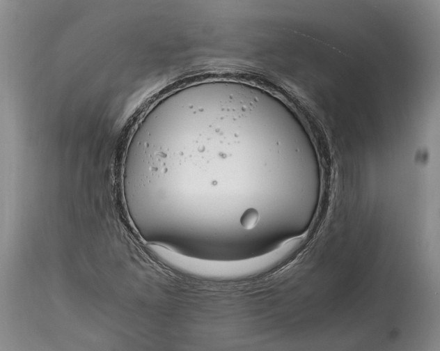 X0000114561261200911091210