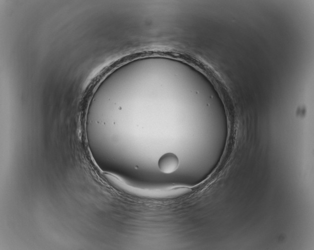 X0000114561262200911091210