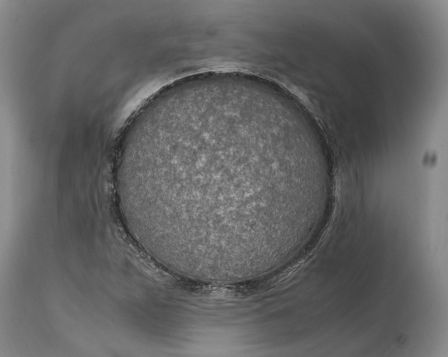 X0000114561263200911091210