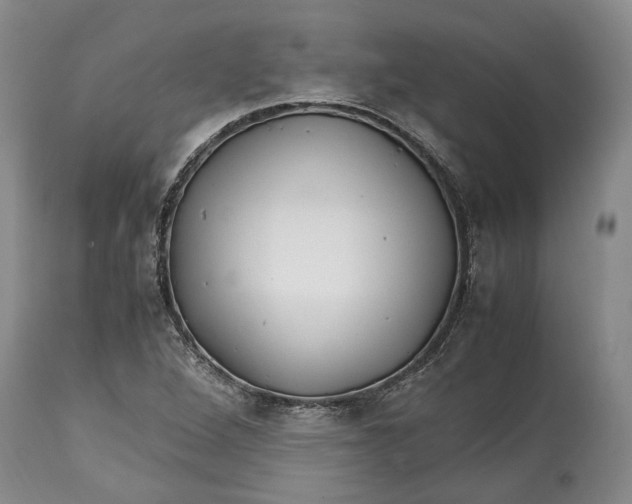 X0000114561264200911091210