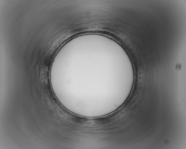 X0000114561265200911091210