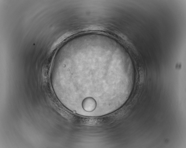 X0000114561266200911091210