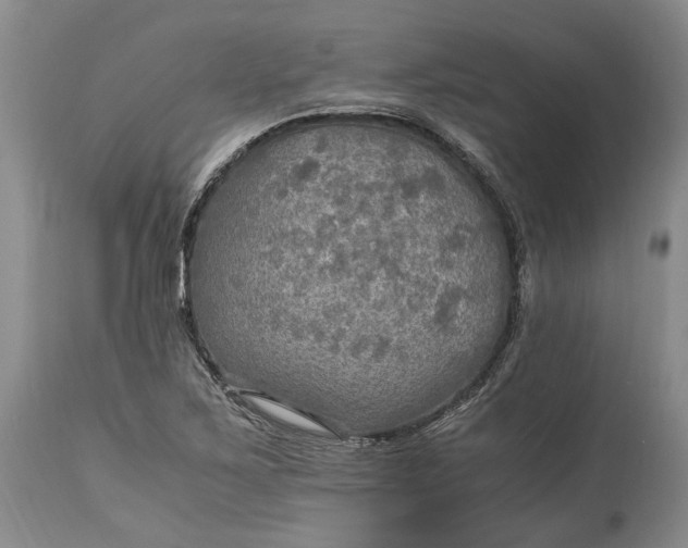 X0000114561267200911091210