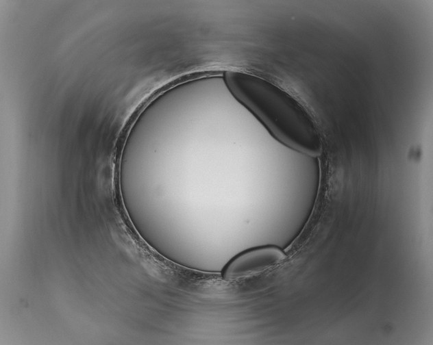X0000114561268200911091210