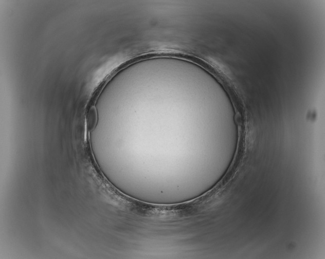 X0000114561269200911091210