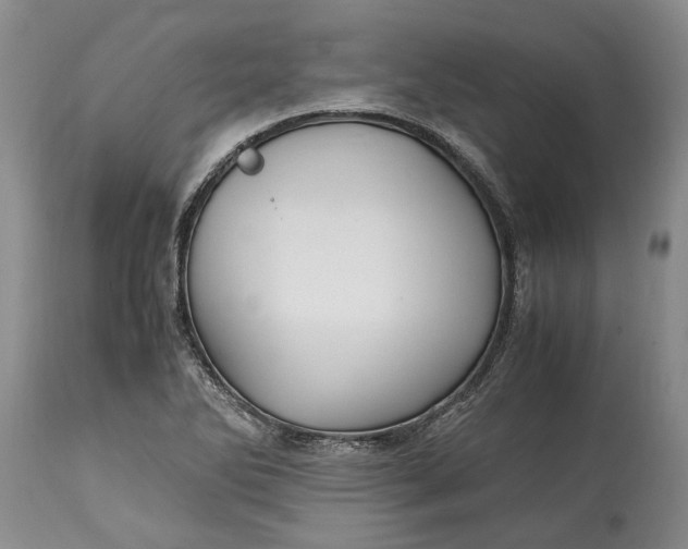 X0000114561270200911091210