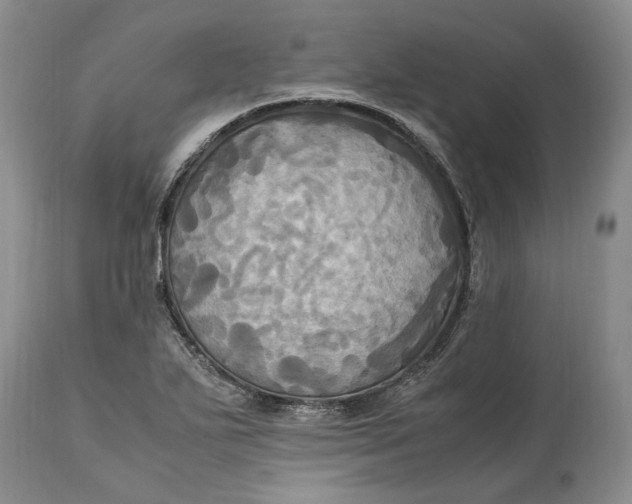 X0000114561271200911091210