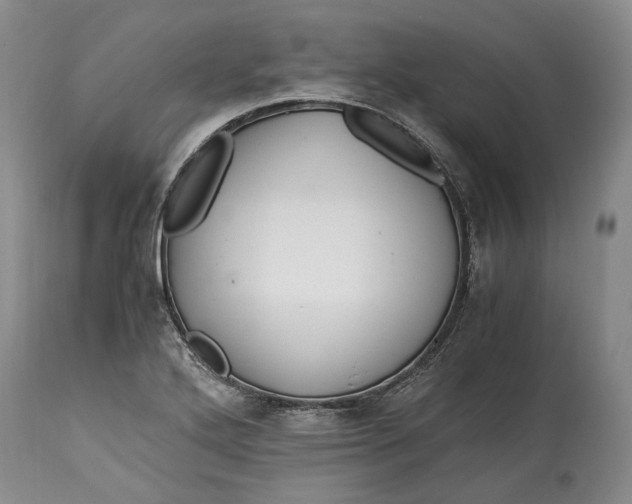 X0000114561272200911091210