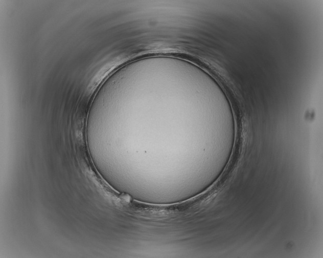 X0000114561273200911091210
