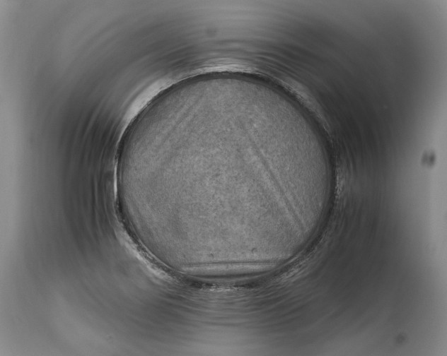 X0000114561274200911091210