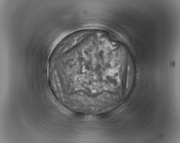 X0000114561275200911091210