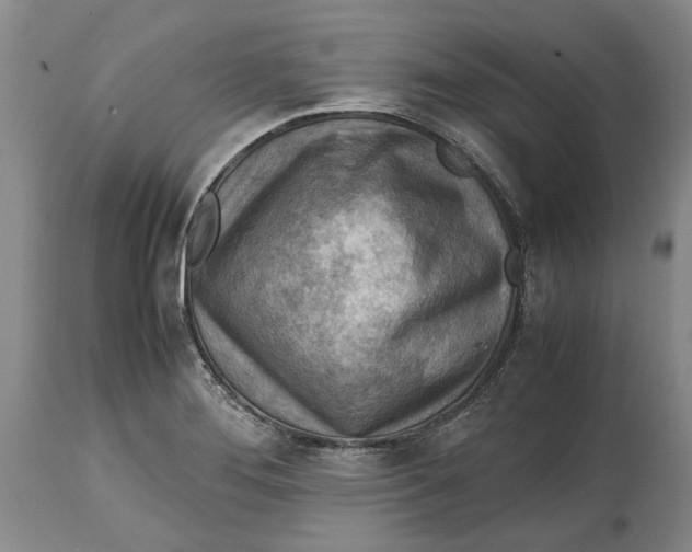 X0000114561276200911091210
