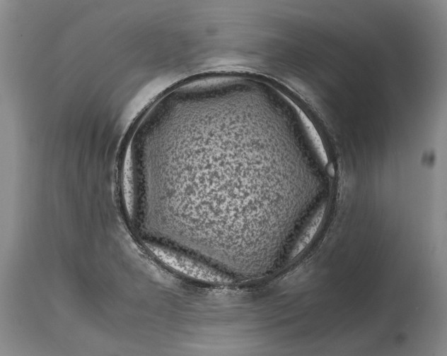 X0000114561277200911091210