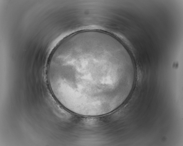 X0000114561278200911091210