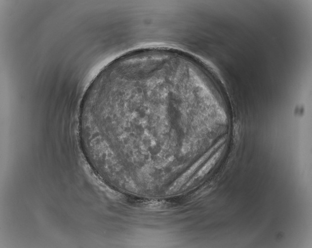 X0000114561279200911091210