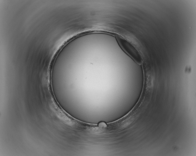 X0000114561280200911091210