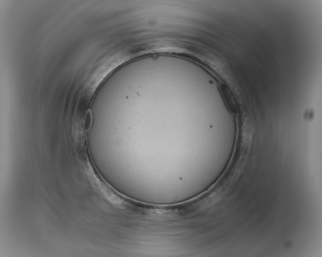 X0000114561281200911091210